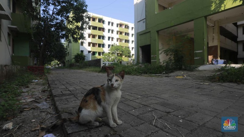 Suasana kondisi Rumah Susun Sederhana Sewa (Rusunawa) Marunda yang tidak terawat, Jakarta, Jumat (21/6/2024). (CNBC Indonesia/Muhammad Sabki)
