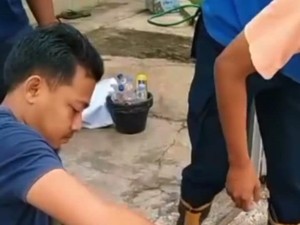 Hendak Mangsa Perkutut, Ular Macan Dievakuasi di Wonosari Gunungkidul