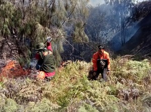 Kebakaran Gunung Batok Kawasan Bromo Meluas hingga Sisi Probolinggo
