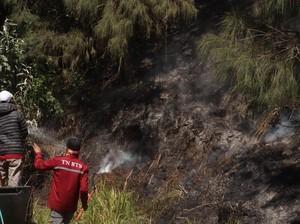 Kebakaran Kembali Melanda Kawasan Bromo, Api Terlihat di Gunung Batok