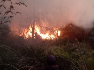 BPBD Jatim Masih Selidiki Penyebab Kebakaran Gunung Batok