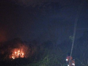 Satu Hektare Lahan di Dekat Tol Palindra Ogan Ilir Hangus Terbakar