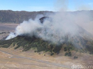 Kebakaran Gunung Batok di Kawasan Bromo Padam