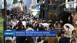 Video: Bakteri Pemakan Daging Gegerkan Jepang, 77 Orang Meninggal