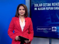 Dolar Cetak Rekor Tembus Rp16.445, Ini Alasan Rupiah Gagal Perkasa