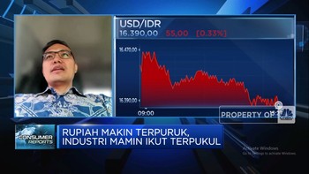 Video: Industri Makanan Ungkap Efek 'Ngeri' Jika Dolar Tembus Rp16.500