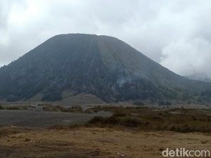 TNBTS Hati-hati Selidiki Penyebab Kebakaran Gunung Batok Pasuruan