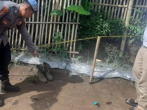 Granat Nanas Meledak, 4 Warga Garut Terluka