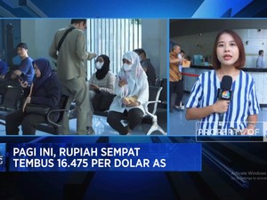 Video: Mengintip Kurs Dolar AS - Rupiah Terkini di Money Changer