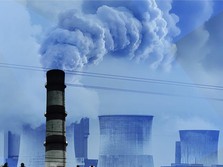 Carbon Backstop Fund, Penjaga Harga Industri Hijau