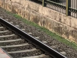 Viral Mobil Dinas Pelat Magelang Dipakai Pelaku Catcalling, Punya Siapa?