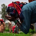 India Pusing 7 Keliling, Rekor Panen Jagung-Beras Malah Bikin Masalah