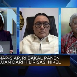 Tak Seperti Nikel, Ternyata Ini Penyebab Hilirisasi Bauksit 
