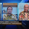 Video: Dolar AS Melambung, Bisnis Pertambangan Ikut Mengangkasa?