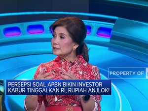  Investor Tinggalkan RI Karena Persepsi RAPBN 2025?