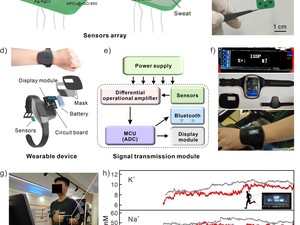 Ilmuwan Cina Buat Jam Tangan Pintar dengan Sensor Keringat, Bisa Lacak Ion