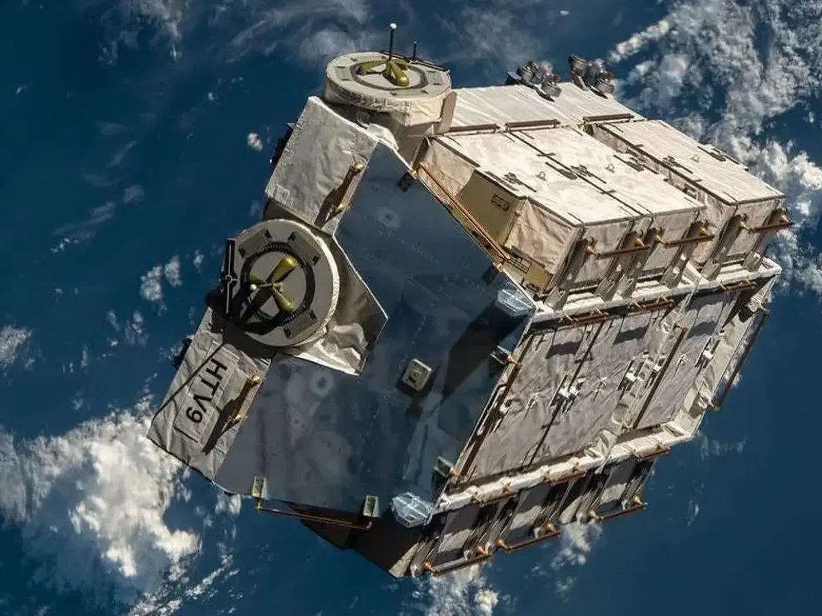 Lumut Physcomitrium Patens Bertahan Hidup 9 Bulan di Luar Angkasa