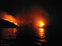 Potret Horor Kembang Api Kapal Pesiar Bakar Hangus Hutan Pinus Yunani