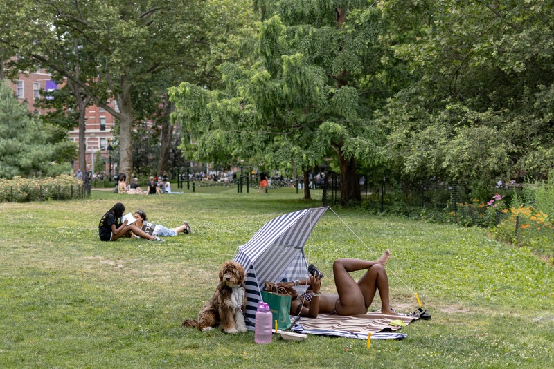 People sunbathe during a heatwave affecting the U.S. Northeast in New York City, U.S., June 23, 2024. REUTERS/Jeenah Moon     TPX IMAGES OF THE DAY
