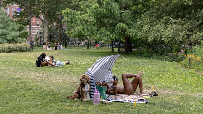 People sunbathe during a heatwave affecting the U.S. Northeast in New York City, U.S., June 23, 2024. REUTERS/Jeenah Moon     TPX IMAGES OF THE DAY