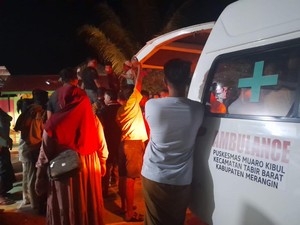 Petani di Merangin Kritis Usai Diterkam Beruang, Wajah Luka-Tangan Remuk