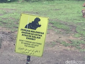 Kenapa Pedagang Diperbolehkan Menjual Pakan Satwa di Sekitar Taman Safari?