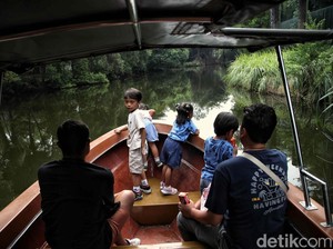Daya Tarik, Harga Tiket, dan Aneka Aktivitas Asyik di Faunaland