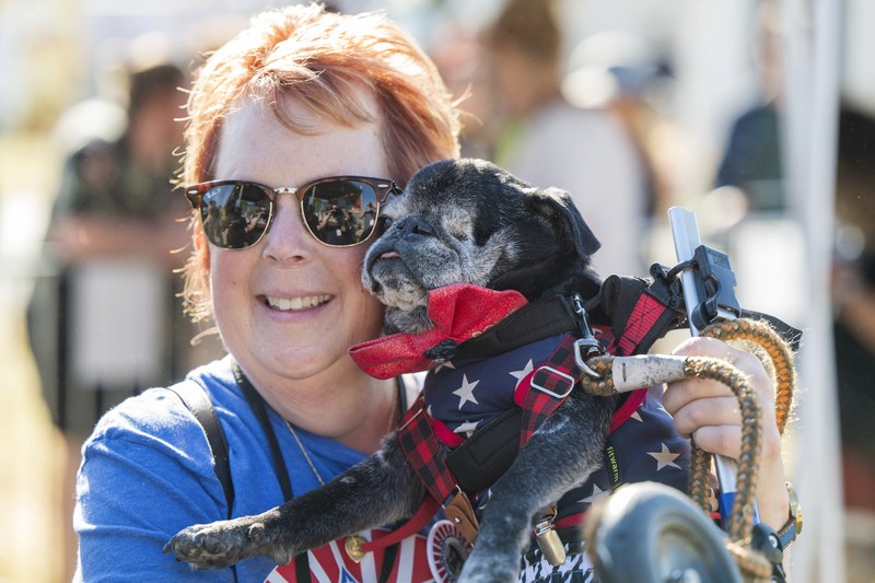 Anjing bernama Daisy Mae ditampilkan pada kompetisi Anjing Paling Jelek Sedunia di Petaluma, California, Jumat, 21 Juni 2024. (AP Photo/Nic Coury)
