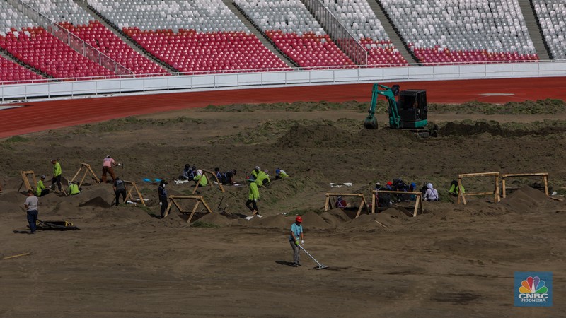 Pekerja melakukan pembongkaran rumput lapangan di Stadion Utama Gelora Bung Karno (SUGBK), Senayan, Jakarta, Rabu (26/6/2024).  (CNBC Indonesia/Faisal Rahman)