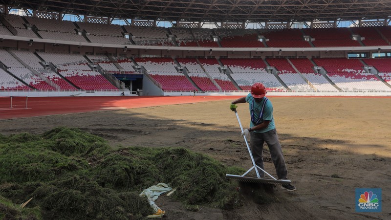 Pekerja melakukan pembongkaran rumput lapangan di Stadion Utama Gelora Bung Karno (SUGBK), Senayan, Jakarta, Rabu (26/6/2024).  (CNBC Indonesia/Faisal Rahman)