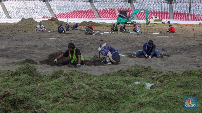 Pekerja melakukan pembongkaran rumput lapangan di Stadion Utama Gelora Bung Karno (SUGBK), Senayan, Jakarta, Rabu (26/6/2024).  (CNBC Indonesia/Faisal Rahman)