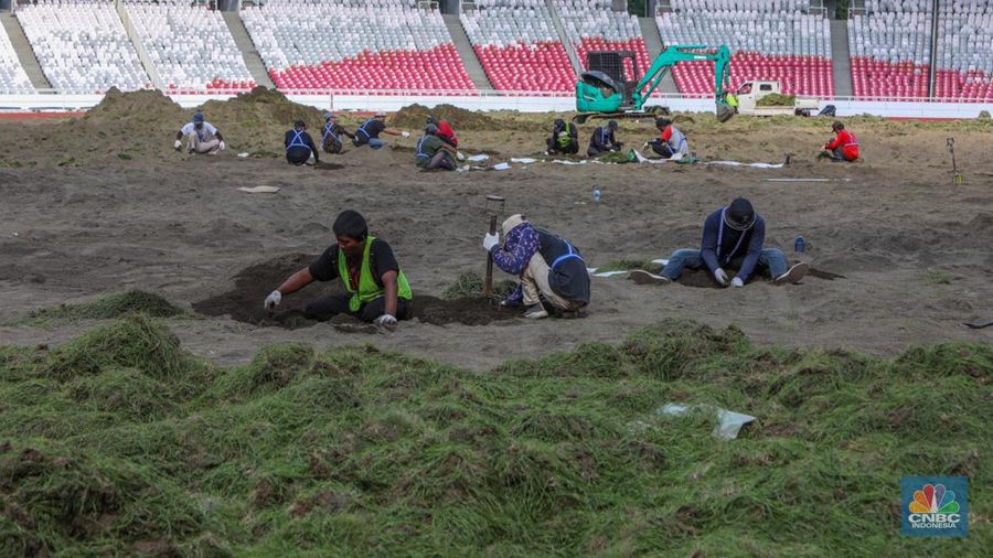 Pekerja melakukan pembongkaran rumput lapangan di Stadion Utama Gelora Bung Karno (SUGBK), Senayan, Jakarta, Rabu (26/6/2024).  (CNBC Indonesia/Faisal Rahman)