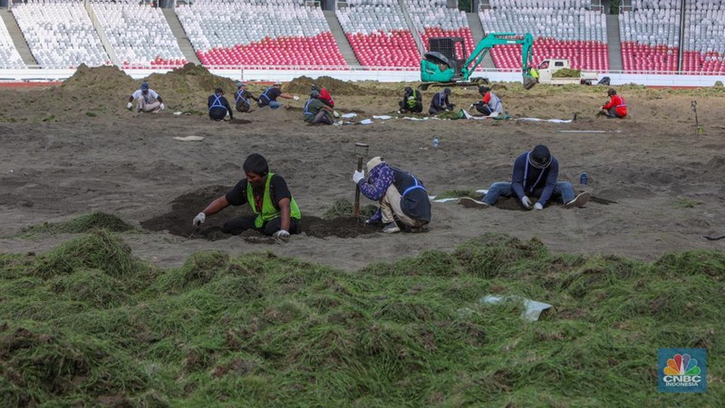 Pekerja melakukan pembongkaran rumput lapangan di Stadion Utama Gelora Bung Karno (SUGBK), Senayan, Jakarta, Rabu (26/6/2024).  (CNBC Indonesia/Faisal Rahman)