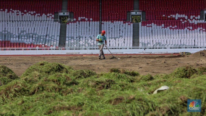 Pekerja melakukan pembongkaran rumput lapangan di Stadion Utama Gelora Bung Karno (SUGBK), Senayan, Jakarta, Rabu (26/6/2024).  (CNBC Indonesia/Faisal Rahman)