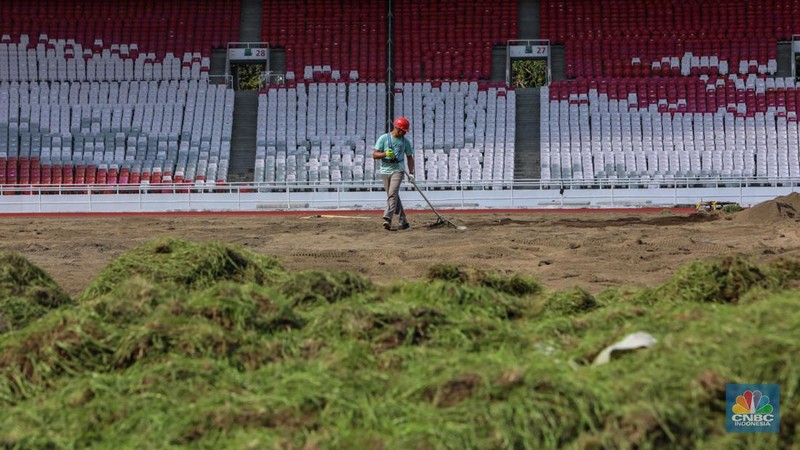 Pekerja melakukan pembongkaran rumput lapangan di Stadion Utama Gelora Bung Karno (SUGBK), Senayan, Jakarta, Rabu (26/6/2024).  (CNBC Indonesia/Faisal Rahman)