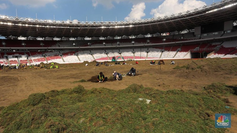 Pekerja melakukan pembongkaran rumput lapangan di Stadion Utama Gelora Bung Karno (SUGBK), Senayan, Jakarta, Rabu (26/6/2024).  (CNBC Indonesia/Faisal Rahman)