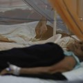 Pakar BRIN Ungkap Petaka Kiamat di RI, Sebut Penyakit Mematikan