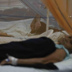 Pakar BRIN Ungkap Petaka Kiamat di RI, Sebut Penyakit Mematikan