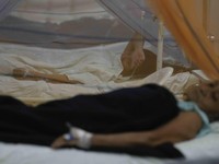 Pakar BRIN Ungkap Petaka Kiamat di RI, Sebut Penyakit Mematikan