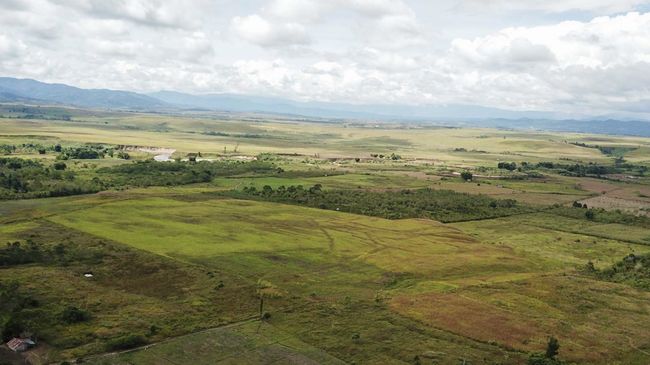 Di Tangan Prabowo Tanah Terlantar Bisa Disita Negara, Ini Aturannya