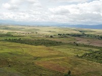 Di Tangan Prabowo Tanah Terlantar Bisa Disita Negara, Ini Aturannya