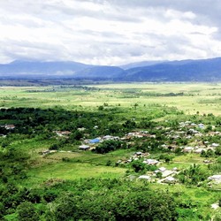 Bank Tanah Mau Kuasai 23.000 Ha Lahan Tahun Ini, Buat Apa?
