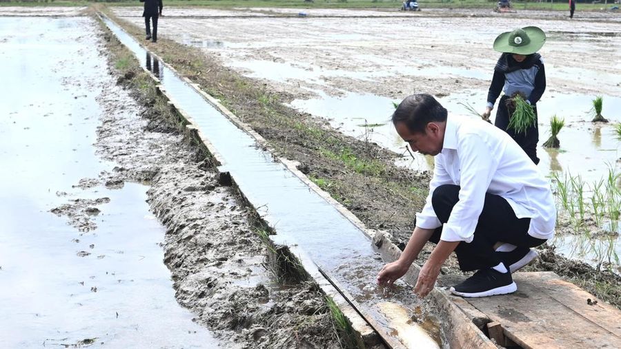 Presiden Joko Widodo meninjau langsung pelaksanaan bantuan pompa untuk pengairan sawah dan pertanian di Desa Bapeang, Kabupaten Kotawaringin Timur, Kalimantan Tengah, Rabu (26/7/2024). (Dok. Biropers Sekretariat Presiden)