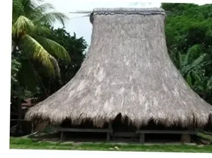 38 Rumah Adat Tiap Provinsi di Indonesia Beserta Asal dan Keterangannya