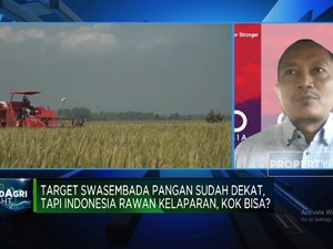 4 Program Era Soeharto Yang Bisa Genjot Produksi Beras Cs, Apa Saja?