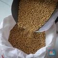 RI Diramal Impor 2,6 Juta Ton Kedelai Tahun 2025, Gegara Program MBG?