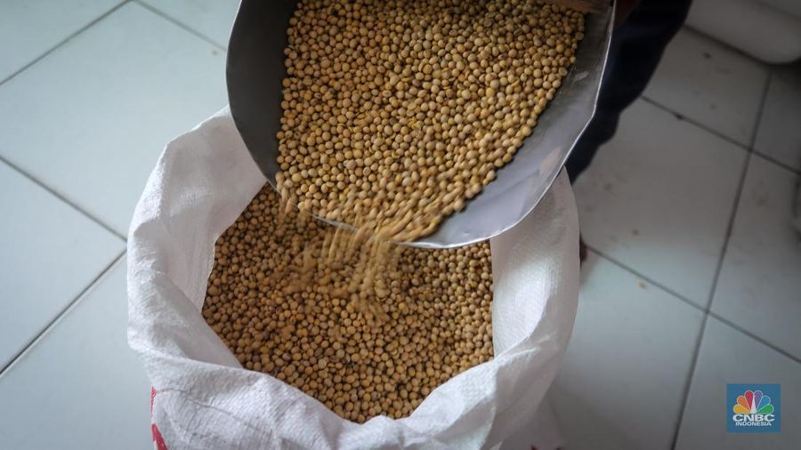 Harga dolar Amerika Serikat (AS) membuat harga kedelai impor, yang sebelumnya sekitar Rp 700 ribu per kuintal, kini naik hingga Rp 1,2 juta per kuintal. (CNBC Indonesia/Faisal Rahman)