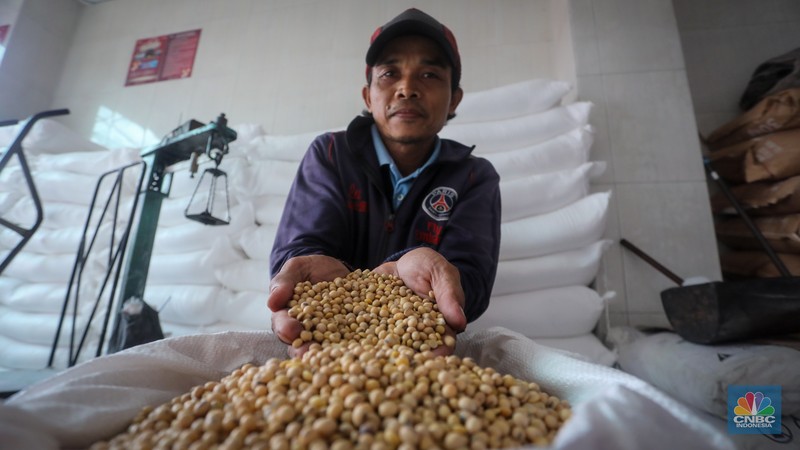 Harga dolar Amerika Serikat (AS) membuat harga kedelai impor, yang sebelumnya sekitar Rp 700 ribu per kuintal, kini naik hingga Rp 1,2 juta per kuintal. (CNBC Indonesia/Faisal Rahman)