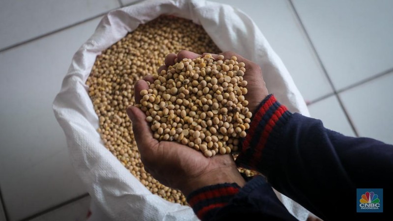 Harga dolar Amerika Serikat (AS) membuat harga kedelai impor, yang sebelumnya sekitar Rp 700 ribu per kuintal, kini naik hingga Rp 1,2 juta per kuintal. (CNBC Indonesia/Faisal Rahman)