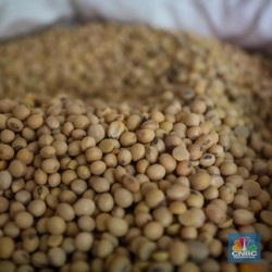 RI Doyan Gorengan Tempe-Tahu, Tapi Sayang Impor Kedelai Sampai 90%